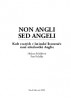 Non angeli sed angli