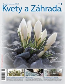 Kvety a záhrada 1-2011