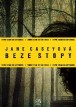 J. Caseyová: Beze stopy
