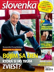 Slovenka 11 / 2013