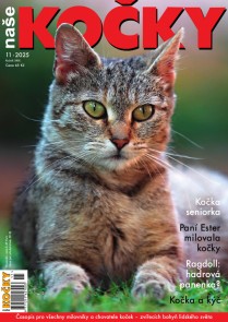 Naše kočky, 11-2025