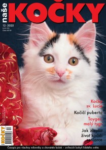 Naše kočky, 12-2025