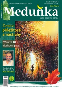 Meduňka 10/2025