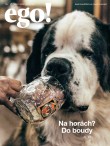 HN 008 - 11.1.2019 magazín Ego!