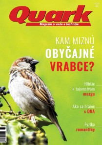 Quark 6/2018