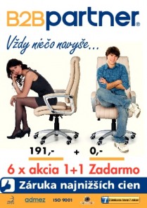 B2B Partner SK 2013/06