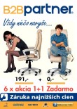 B2B Partner SK 2013/06