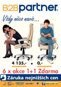 B2B Partner 2013/06