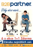 B2B Partner 2013/06