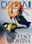 DOMA DNES - 13.1.2021