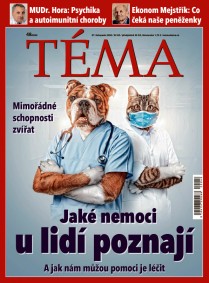 TÉMA DNES - 27.11.2020