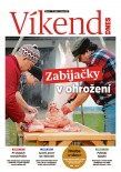 Víkend DNES Vysočina - 31.01.2026