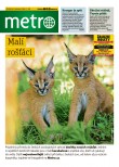 METRO - 16.07.2026