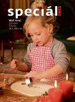 Magazín DNES SPECIÁL Střední Čechy - 25.11.2022