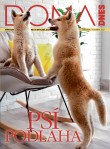 DOMA DNES - 7.4.2021