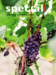 Magazín DNES Speciál Brno a Jižní Morava - 25.09.2026