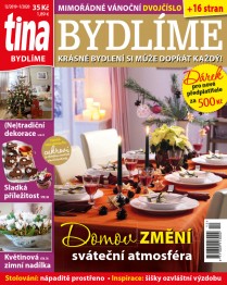 Tina Bydlíme - 12/2019 - 01/2020