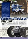 Goldspeed