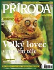 Příroda WILDLIFE 9/2012