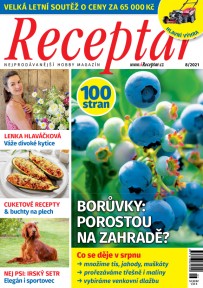 Receptář 8/2021
