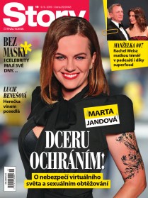 Story 19/2019