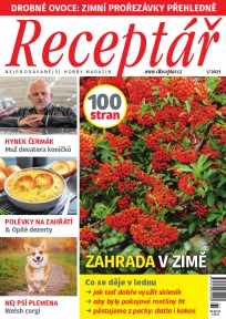 Receptář 1/2021
