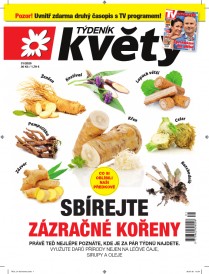 Týdeník Květy 31/2020