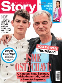 Story 17/2020