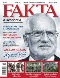 FaS 6/2021