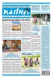 Nástup 28/25