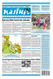 Nástup 33/25