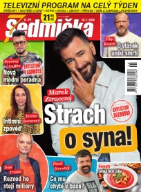 Sedmička 29/2025