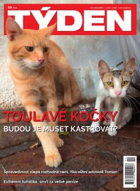 Týden 10