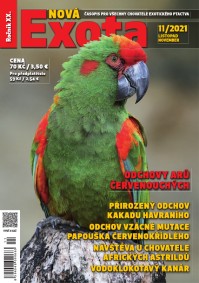 Nová EXOTA 11/2021