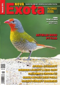Nová EXOTA 11/2022