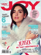 Joy 12/2019