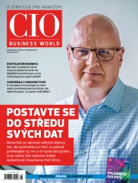 CIO Business World