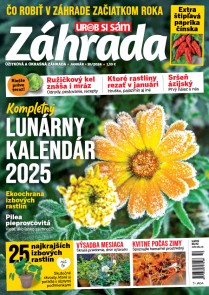 Záhrada 2024 10