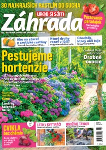 Záhrada 2025 07