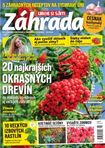 Záhrada 2025 11