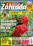 Záhrada 2025 11