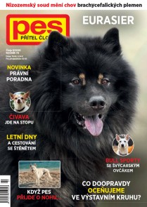 Pes přítel člověka 9/2025