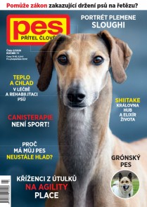 Pes přítel člověka 2/2026