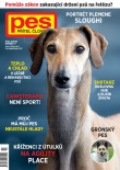 Pes přítel člověka 2/2026