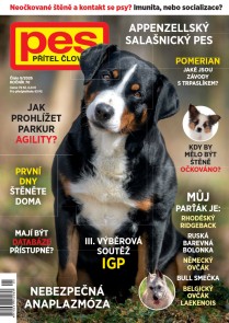 Pes přítel člověka 5/2025