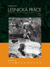 lesnicka prace 2026 04