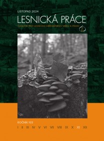 lesnicka práce 2024 11