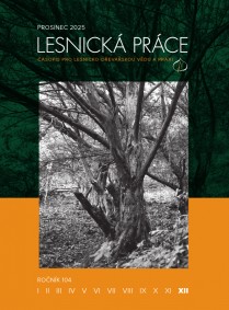 lesnická prace 2025 12