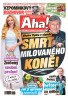 AHA! - 15.08.2026