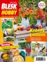 Blesk Hobby - 9/2023
